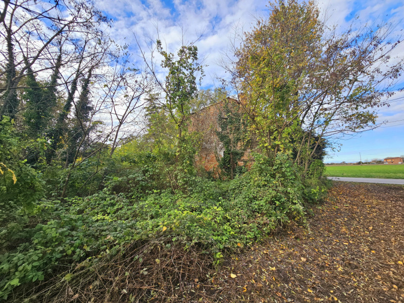 Proponiamo in vendita a Solesino, rudere composto da due abitazioni accostate, da poter abbattere...