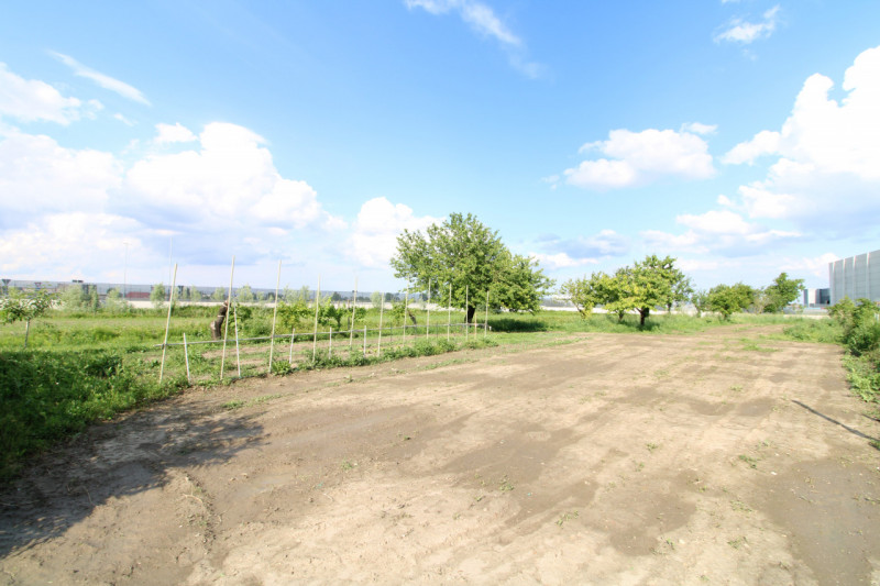 MONSELICE: in zona di campagna, nella località di Ca' Oddo, si propone rustico singolo da ristrut...