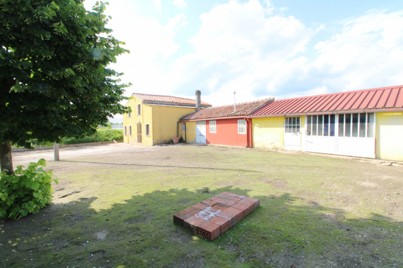 MONSELICE: in zona di campagna, nella località di Ca' Oddo, si propone rustico singolo da ristrut...