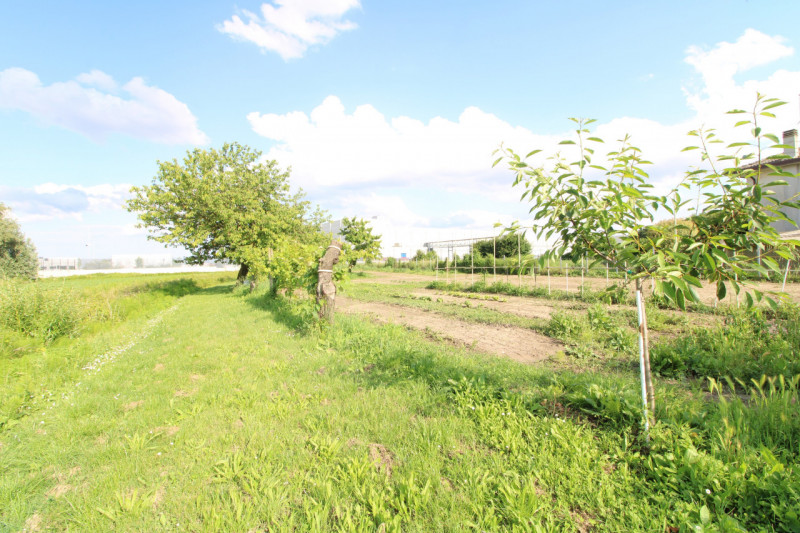 MONSELICE: in zona di campagna, nella località di Ca' Oddo, si propone rustico singolo da ristrut...