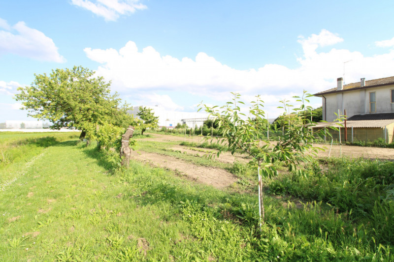 MONSELICE: in zona di campagna, nella località di Ca' Oddo, si propone rustico singolo da ristrut...