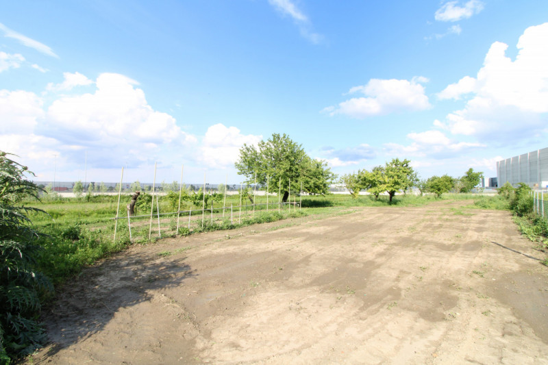 MONSELICE: in zona di campagna, nella località di Ca' Oddo, si propone rustico singolo da ristrut...