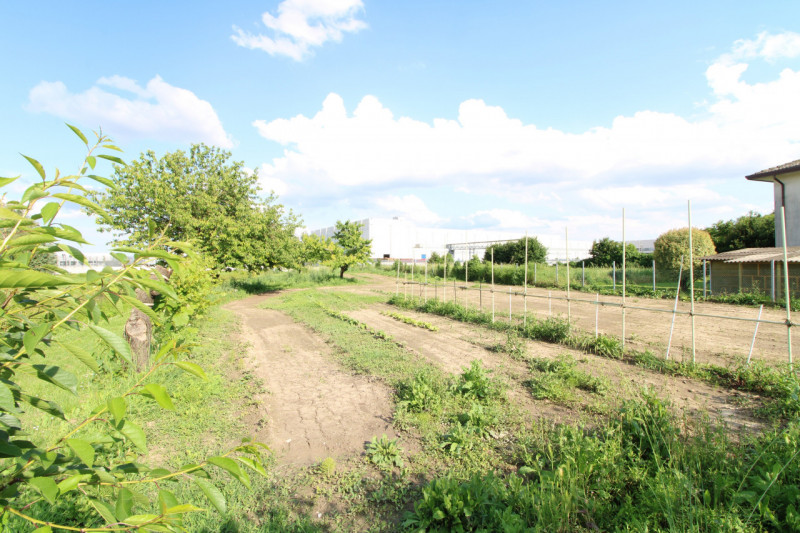 MONSELICE: in zona di campagna, nella località di Ca' Oddo, si propone rustico singolo da ristrut...