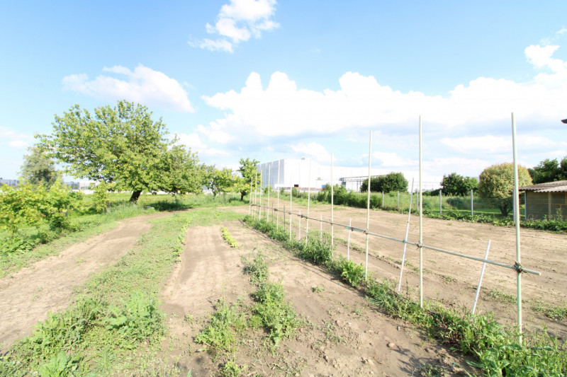MONSELICE: in zona di campagna, nella località di Ca' Oddo, si propone rustico singolo da ristrut...