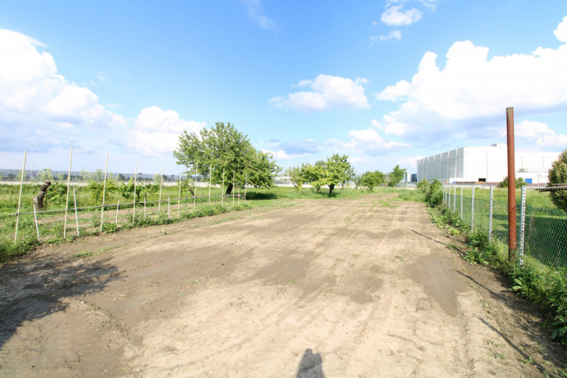 MONSELICE: in zona di campagna, nella località di Ca' Oddo, si propone rustico singolo da ristrut...