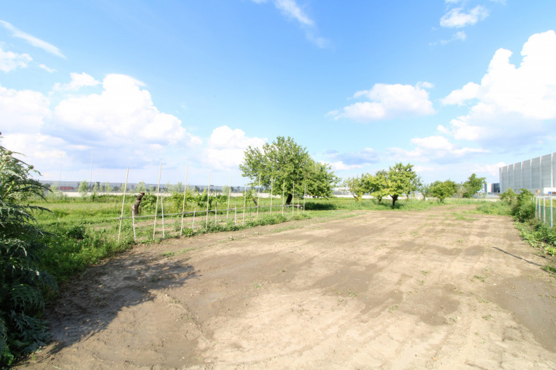 MONSELICE: in zona di campagna, nella località di Ca' Oddo, si propone rustico singolo da ristrut...