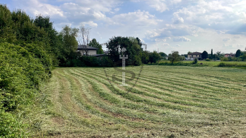 Stai cercando un terreno agricolo facilmente accessibile e in posizione soleggiata? 
A Pianezze, ...
