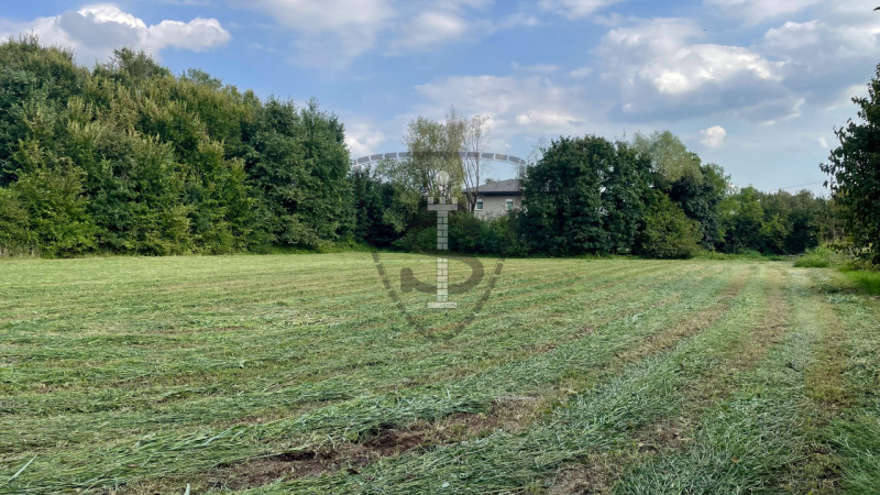Stai cercando un terreno agricolo facilmente accessibile e in posizione soleggiata? 
A Pianezze, ...