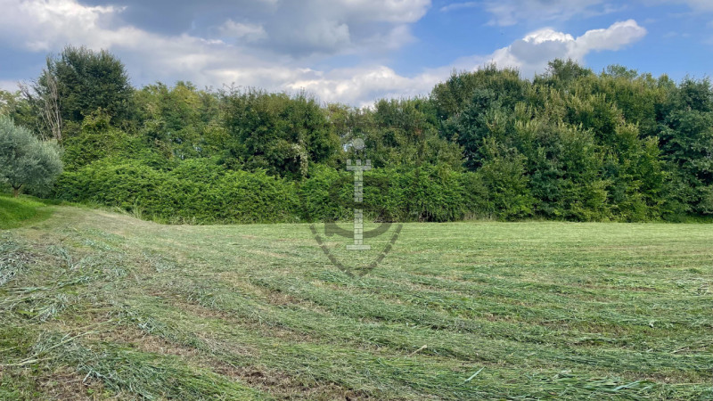 Stai cercando un terreno agricolo facilmente accessibile e in posizione soleggiata? 
A Pianezze, ...