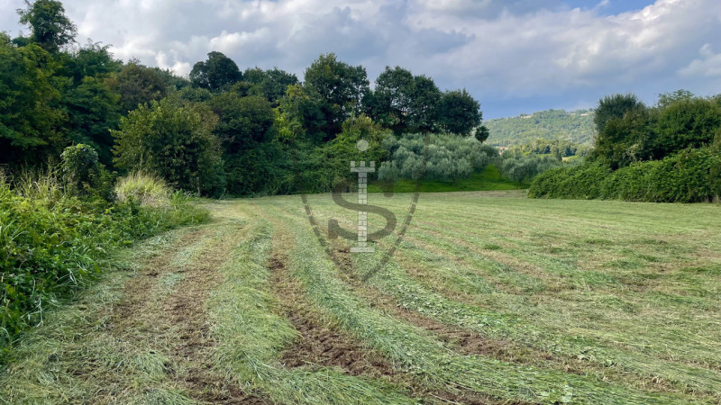 Stai cercando un terreno agricolo facilmente accessibile e in posizione soleggiata? 
A Pianezze, ...