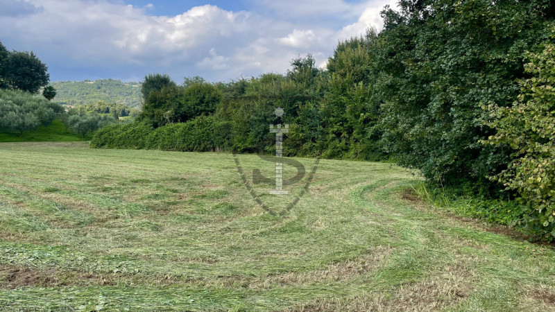 Stai cercando un terreno agricolo facilmente accessibile e in posizione soleggiata? 
A Pianezze, ...