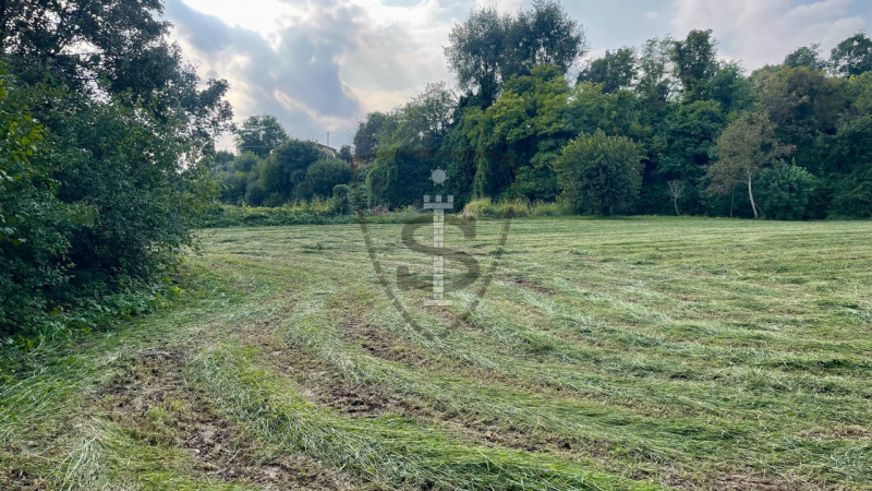 Stai cercando un terreno agricolo facilmente accessibile e in posizione soleggiata? 
A Pianezze, ...