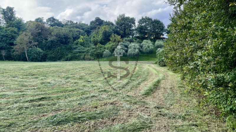 Stai cercando un terreno agricolo facilmente accessibile e in posizione soleggiata? 
A Pianezze, ...