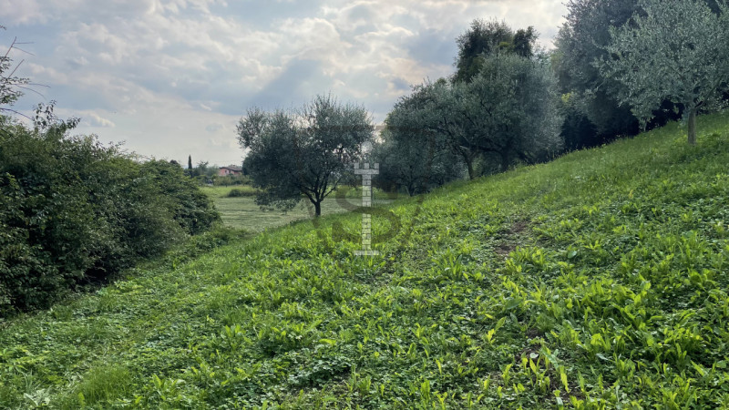 Stai cercando un terreno agricolo facilmente accessibile e in posizione soleggiata? 
A Pianezze, ...