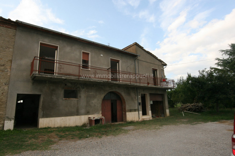 Sinalunga Vendita Rustico casale