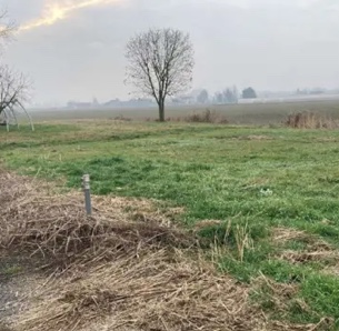 Bonavigo Vendita Terreno terreno edificabile residenziale