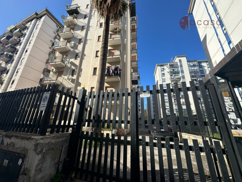 Palermo Affitto Appartamento bilocale