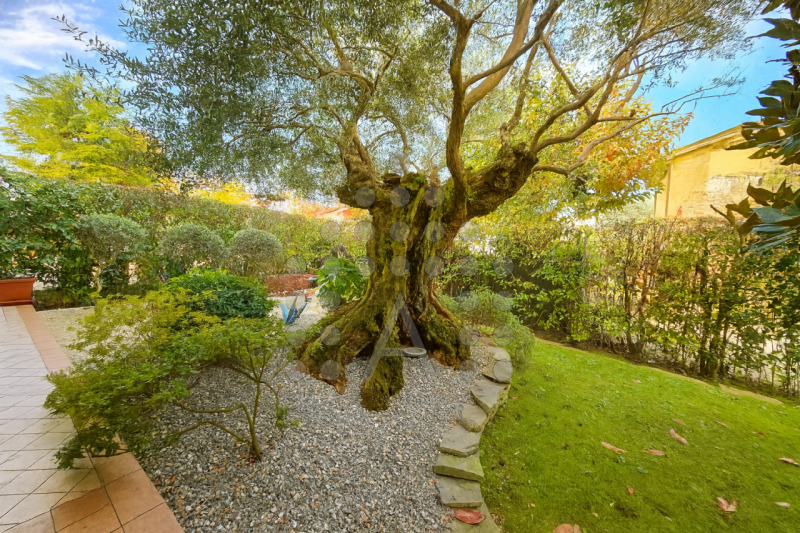 PORZIONE DI BIFAMILIARE INDIPENDENTE – 230 m² – GIARDINO, VERANDA/PALESTRA, SPA PRIVATA – ULTIMAT...