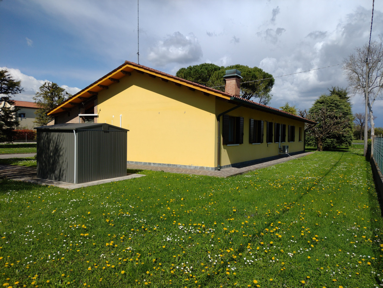 immagine annuncio 1 di 14