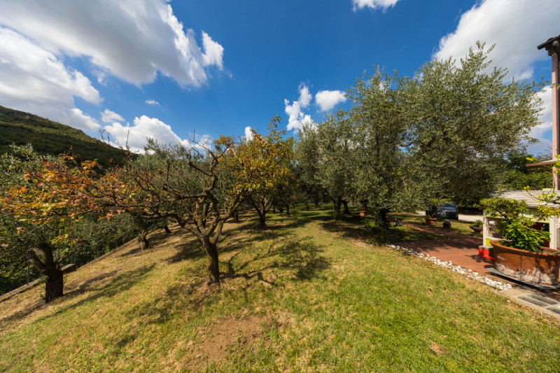 A Cinto Euganeo, proponiamo in vendita spettacolare casa singola, situata in una meravigliosa pos...