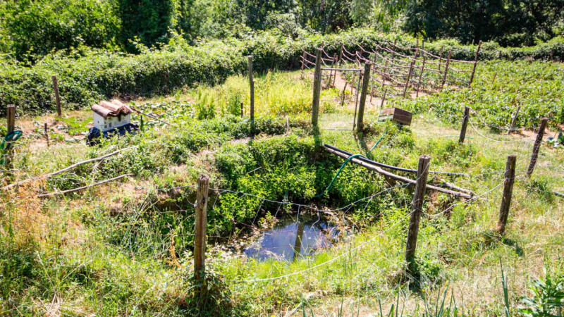 Proponiamo in vendita un ampio terreno agricolo situato nella tranquilla zona di Quargnenta, nel ...