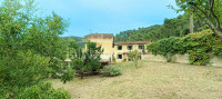 Landhaus mit Nebengebäude mit Weitsicht und Olivenhain, Vinci Florenz
