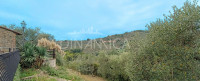 Landhaus mit Nebengebäude mit Weitsicht und Olivenhain, Vinci Florenz