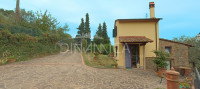 Landhaus mit Nebengebäude mit Weitsicht und Olivenhain, Vinci Florenz