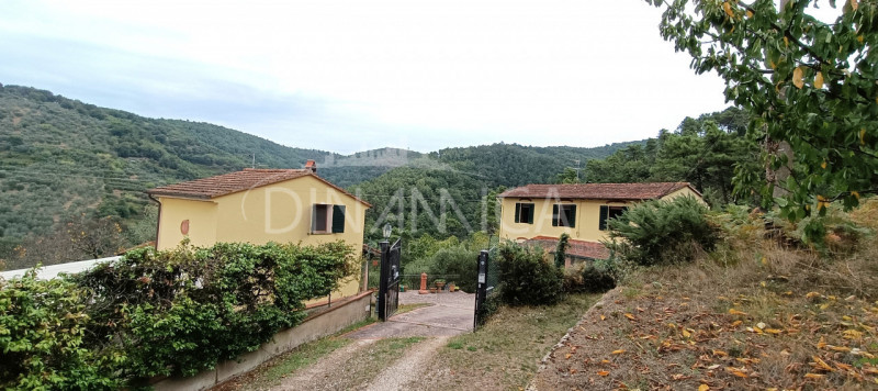 Vinci Vendita Rustico casale