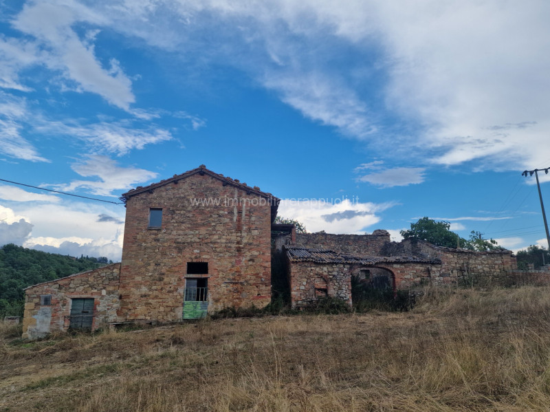 Montepulciano Vendita Rustico casale