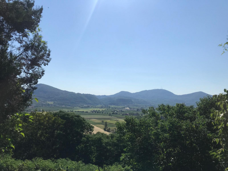 Nel comune di Albettone, precisamente sul monte di Lovertino, proponiamo in vendita una proprietà...