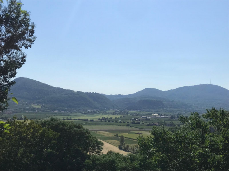 Nel comune di Albettone, precisamente sul monte di Lovertino, proponiamo in vendita una proprietà...