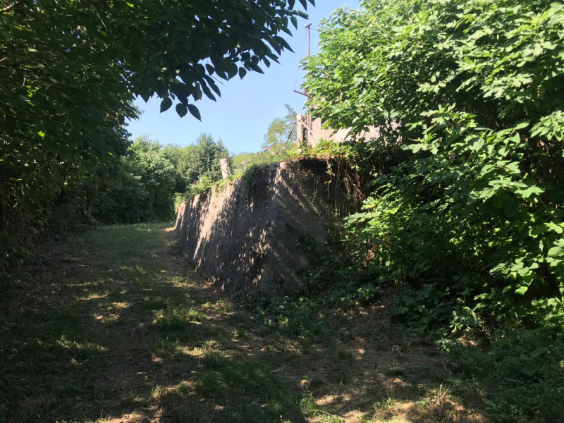Nel comune di Albettone, precisamente sul monte di Lovertino, proponiamo in vendita una proprietà...