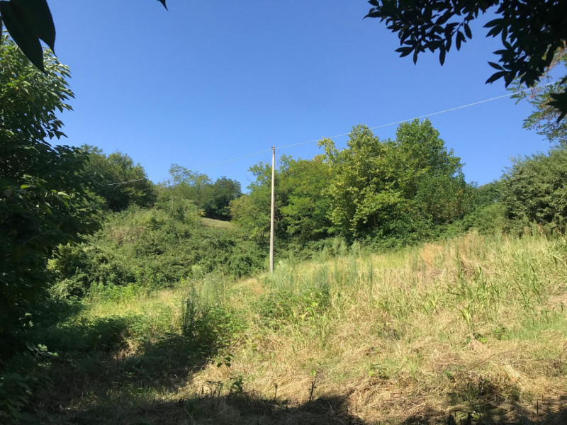 Nel comune di Albettone, precisamente sul monte di Lovertino, proponiamo in vendita una proprietà...