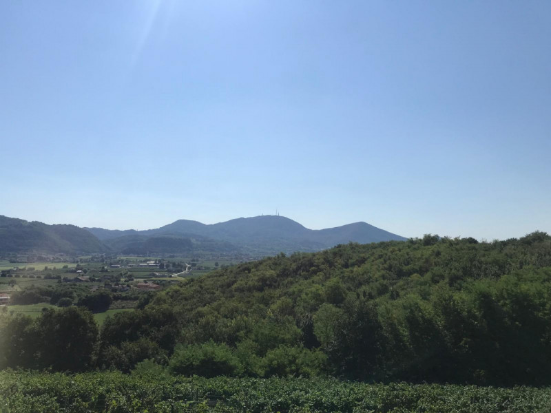 Nel comune di Albettone, precisamente sul monte di Lovertino, proponiamo in vendita una proprietà...
