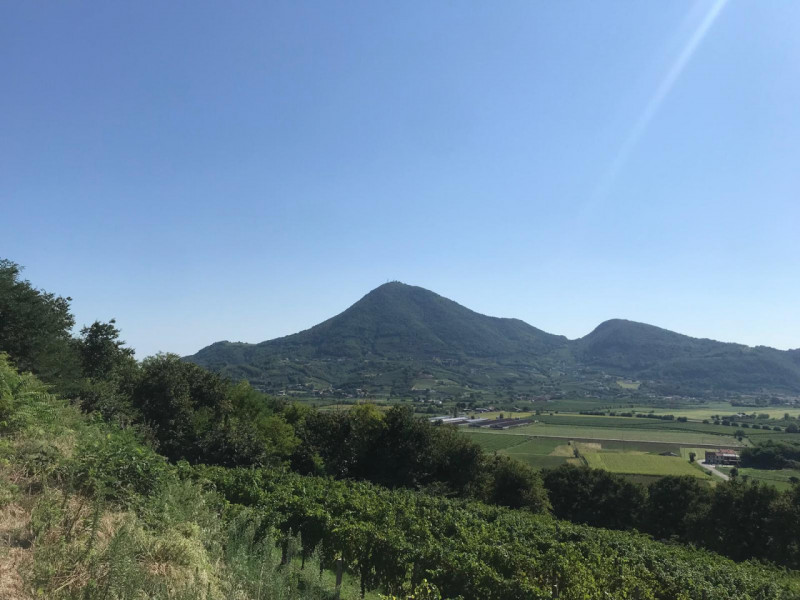 Nel comune di Albettone, precisamente sul monte di Lovertino, proponiamo in vendita una proprietà...