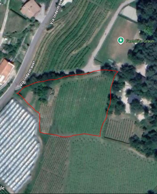 Cortaccia sulla strada del vino/Kurtatsch an der Weinstraße Vendita Terreno vigneto