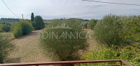 Casa a solo con resede zona panoramica e di campagna, vinci, firenze