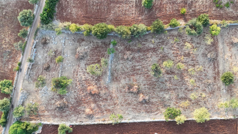 Polignano a Mare Vendita Terreno terreno edificabile residenziale
