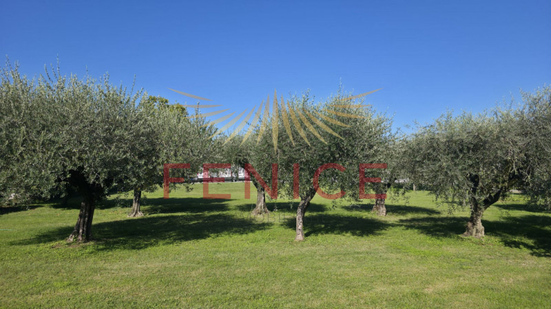 Terreno edificabile ideale per famiglie – 1.680 m², possibilità edificatoria di 415 m²

Sogni un ...