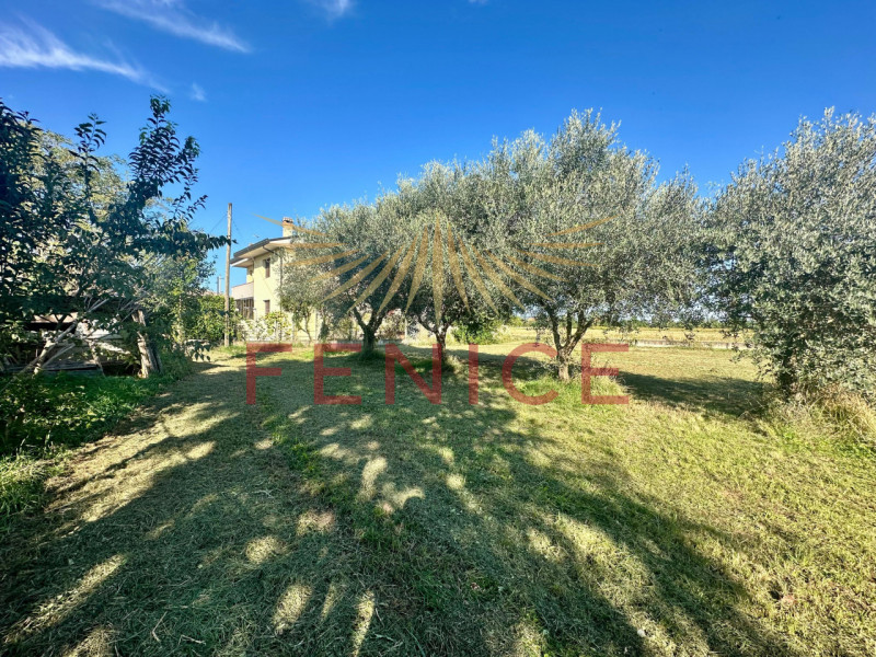 Sogni un luogo in cui far fiorire i desideri di una vita serena per la tua famiglia? In un angolo...