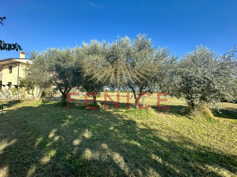 Sogni un luogo in cui far fiorire i desideri di una vita serena per la tua famiglia? In un angolo...