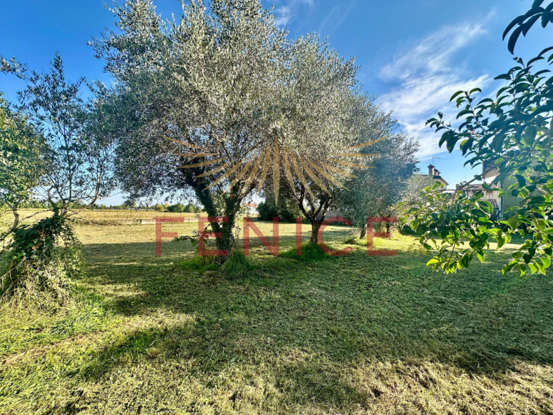 Sogni un luogo in cui far fiorire i desideri di una vita serena per la tua famiglia? In un angolo...