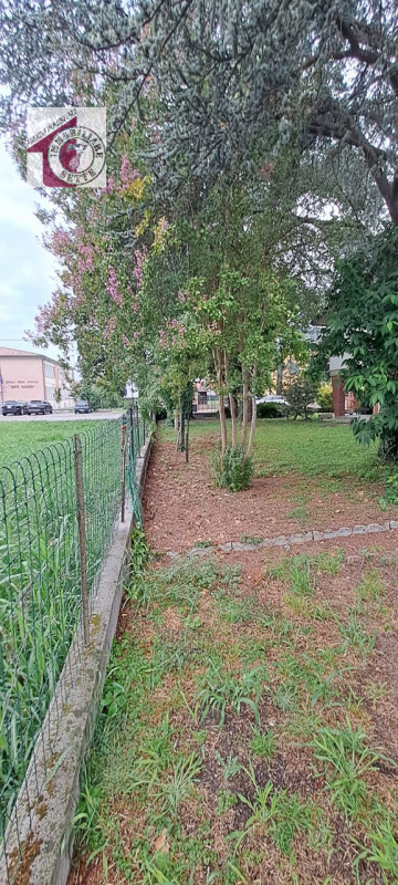 Vendesi VILLAFRANCA PADOVANA CENTRO villa singola con giardino privato di oltre 1500 mq. piantuma...