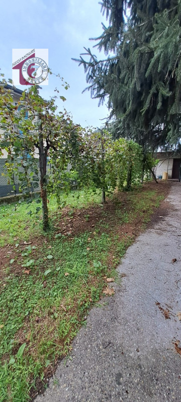 Vendesi VILLAFRANCA PADOVANA CENTRO villa singola con giardino privato di oltre 1500 mq. piantuma...