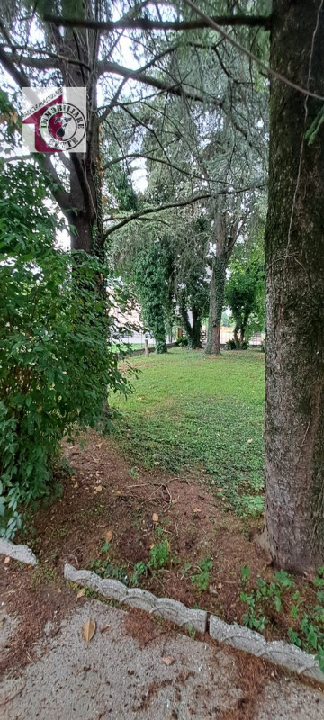 Vendesi VILLAFRANCA PADOVANA CENTRO villa singola con giardino privato di oltre 1500 mq. piantuma...