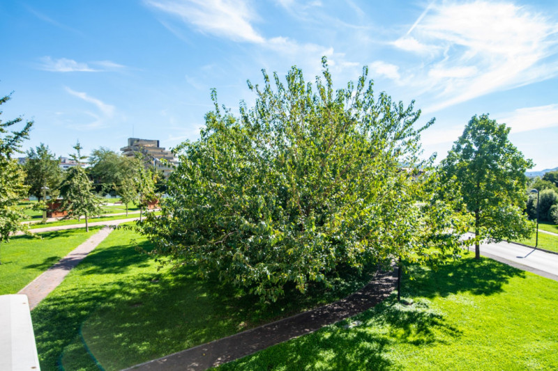 Abano Terme. Nel cuore della cittadina termale ed  inserito all'interno del Parco Urbano, proponi...