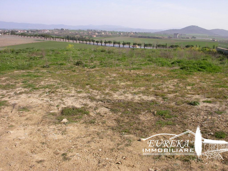 Paciano Vendita Terreno terreno edificabile residenziale