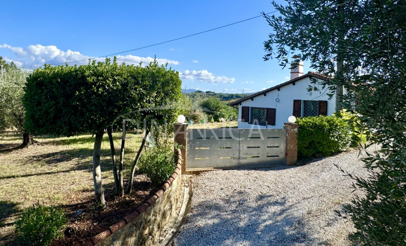 Capannoli Vendita Casa singola