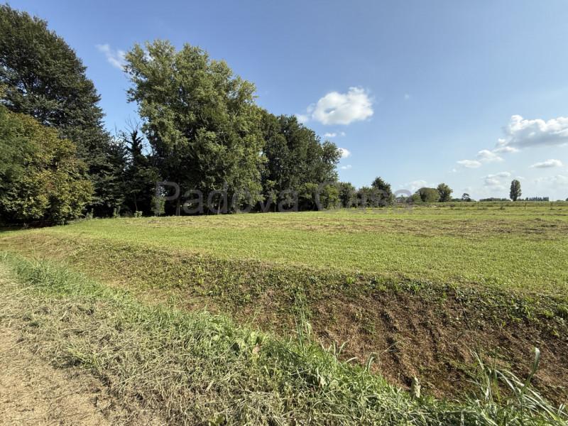 Lotto di terreno a destinazione residenziale di mq. 2650, con edificabilità pari a 3180 metri cub...